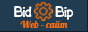 Разработка сайтов для отелей BidBip
